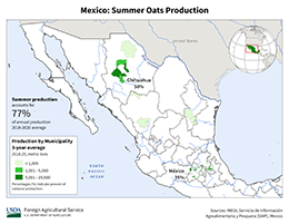 images\MX\seasonalmap\Mexico_Summer_Oats_preview.png